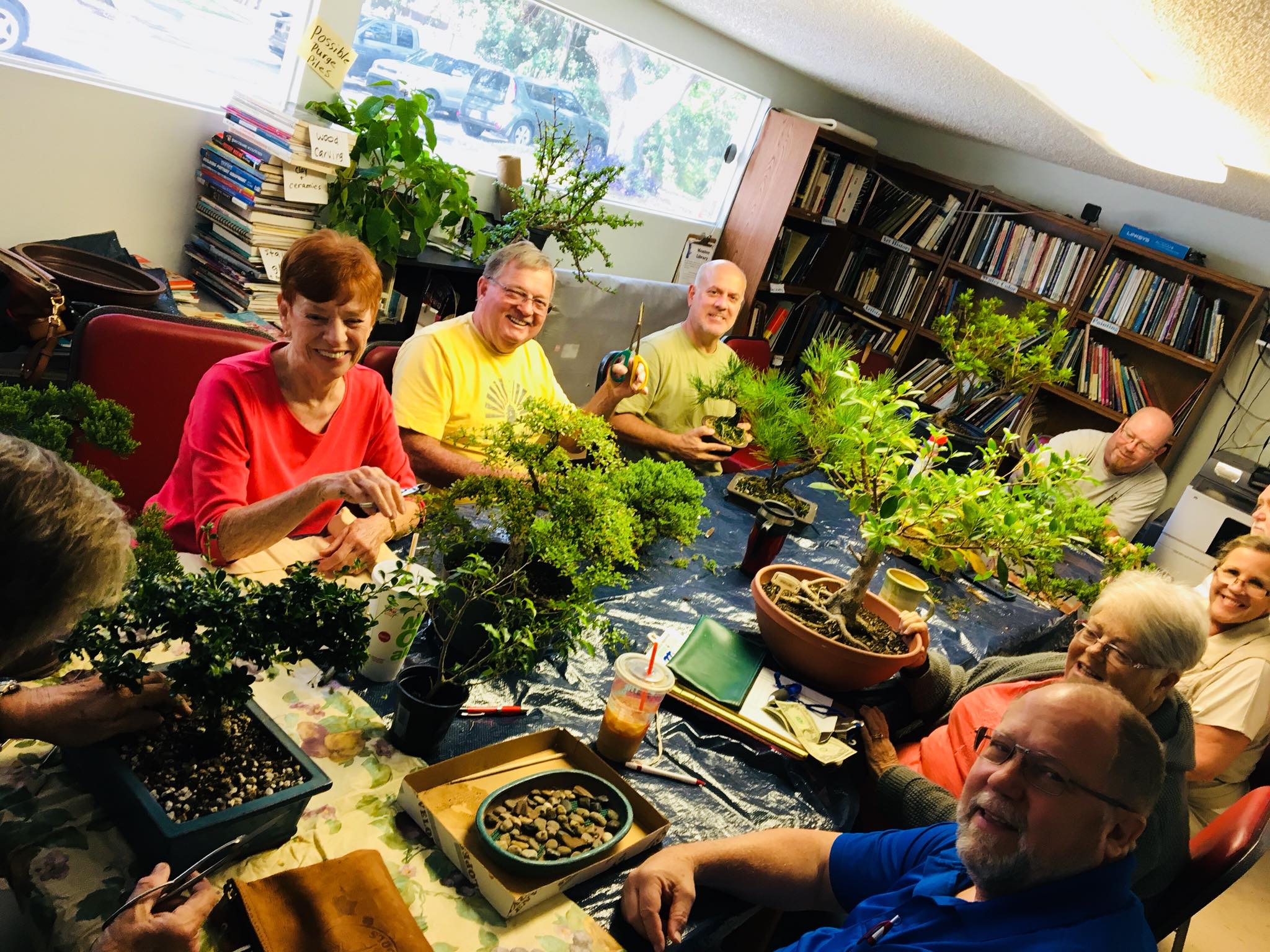 Hukyu Bonsai Society of Tampa IN PERSON Meeting Life